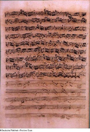 Stimmensatz: Cum Sancto Spiritu (T. 64-128.Fine), Viola