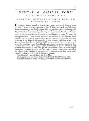 Dentariae Affinis Echii Flore, Capsula Anagallidis