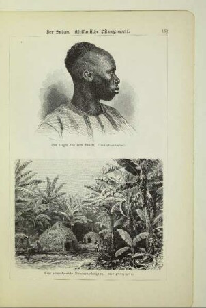 Ein Neger aus dem Sudan