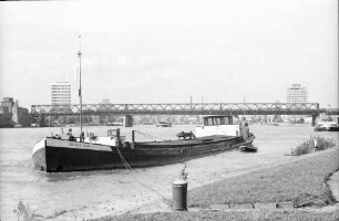 Mannheim: Schlepper am Rheinkai