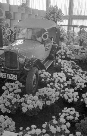 Schlußsonderschau der Bundesgartenschau in der Schwarzwaldhalle, Gartenhalle und Nancyhalle.