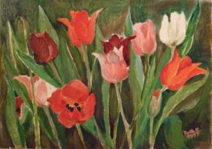 Tulpen 4
