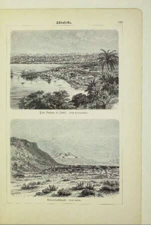 Port Durban in Natal