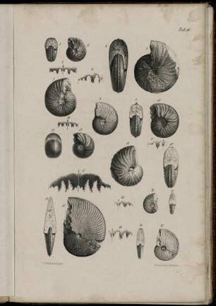 Fig. 1-25