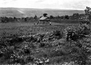 Landschaft in Myanmar (Birma) (Deutsche Indien-Expedition 1926/1929 - 3. Myanmar)