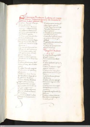 Boccaccio, Giovanni: De casibus virorum et mulierum illustrium