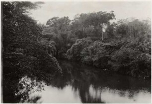 Zusammenfluss von Rio Miranda und Rio Santo Antônio : 48,84 km südwestlich von Nioaque, Höhe: 290 m, von der Straßenbrücke flussaufwärts gesehen