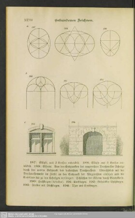 [Ellipse und Eiform]