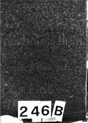 Grabstein 246 (Index: 100085069) Maße HxBxT: 255x60x56 cm Beschreibung: Obelisk, getreppter Sockel: Grabstein 246B
