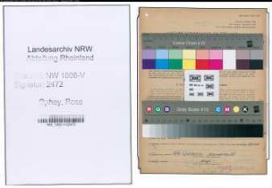 Entnazifizierung Rose Ophey , geb. 07.08.1897 ()