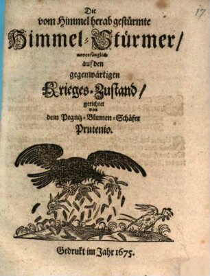 Die vom Himmel herabgestürmte Himmel-Stürmer