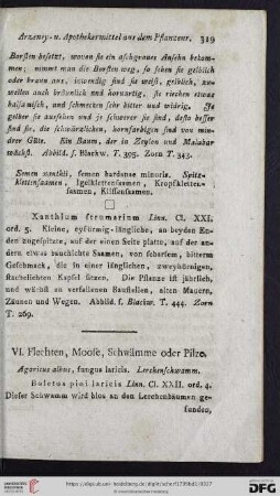 VI. Flechten, Moose, Schwämme oder Pilze