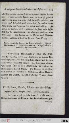 VI. Flechten, Moose, Schwämme oder Pilze