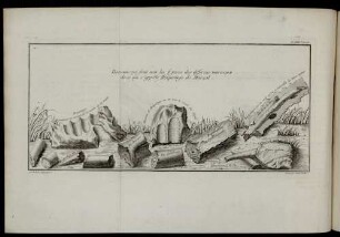 Pl. XVIII. Desseins qui sont voir les figures des differens morceaux [...]
