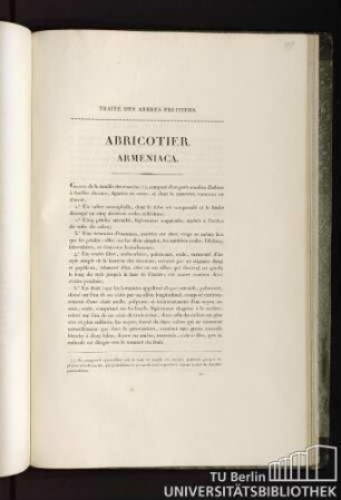 Traité des arbres fruitiers. Abricotier. Armeniaca.