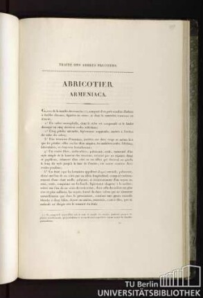 Traité des arbres fruitiers. Abricotier. Armeniaca.