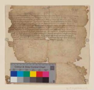 Kurfürst [Albrecht], Markgraf von Brandenburg, bestätigt der Stadt Angermünde alle von seinen Vorgängern erhaltenen Rechte und Besitzungen.