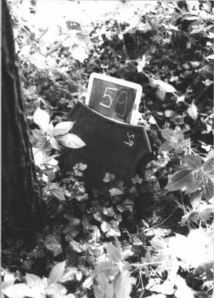 Kindergrab 59
