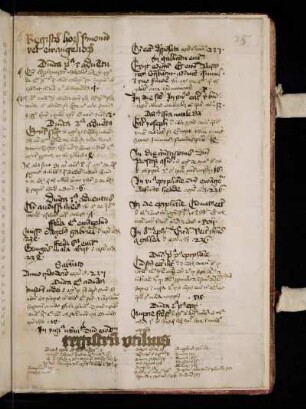 Registrum horum sermonum vel ewangeliorum