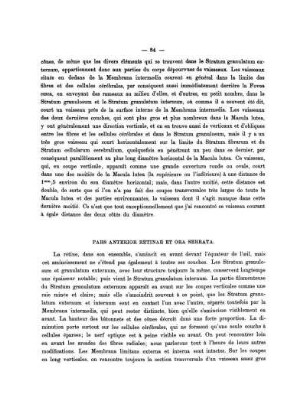 Pars Anterior Retinae Et Ora Serrata.
