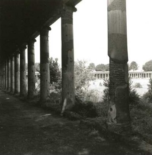 Pompeji. Große Palästra. Säulenportikus