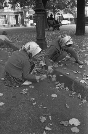 Spiel mit dem Herbstlaub.
