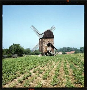 Bockwindmühle Tüngeda