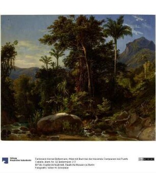 Wald mit Bach bei der Hacienda Campanero bei Puerto Cabello