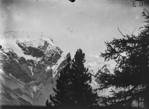 Gipfel des Ortler : Blick über Baumwipfel zum Gipfel des Ortler (3905 m s.l.m.).