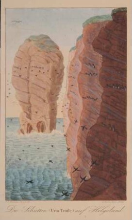 Die Schütten auf Helgoland