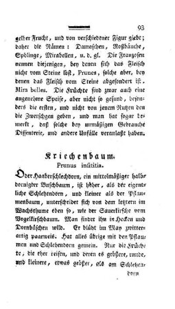 Kriechenbaum. Prunus insititia.