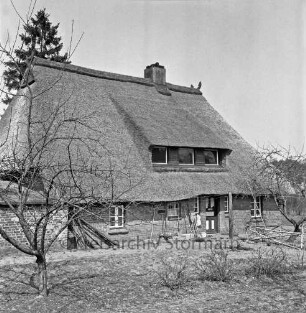 Haus mit Reetdach: ehemalige Voßsche Räucherkate: davor Garten: rechts und links Bäume