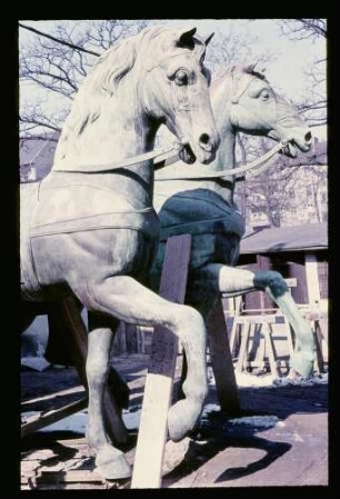 Quadriga-Pferde 25.3.58.
