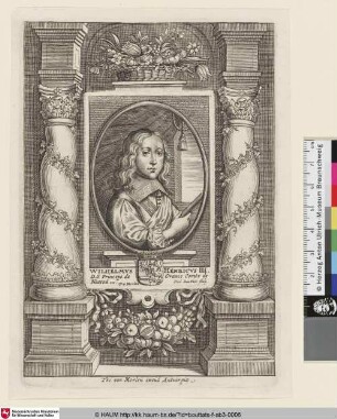 Wilhelmus Henricus III. [Porträt König Wilhelms III. von England]