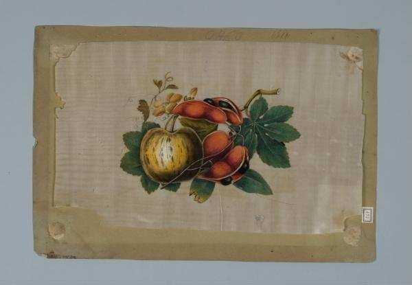 Malerei auf Reispapier (Markpapier); Kürbis, Blüte, Ranke