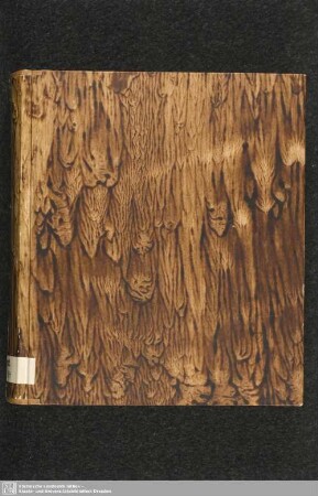 Sammelhandschrift - Mscr.Dresd.R.284