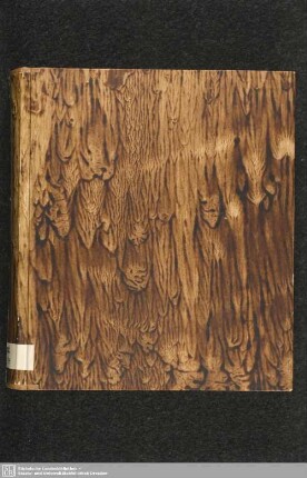 Sammelhandschrift - Mscr.Dresd.R.284