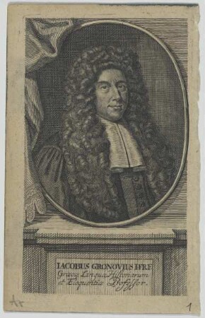 Bildnis des Iacobus Gronovius