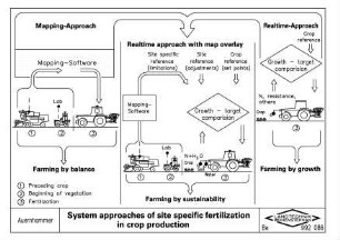 System development for site specific fertilization in crop production