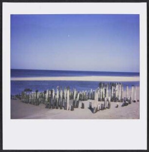 Buhnen am Strand von Sylt