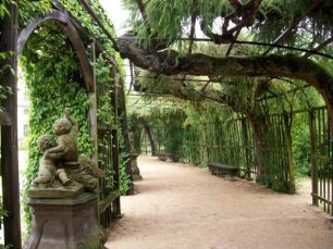 Würzburg: Hofgarten