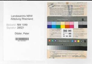 Entnazifizierung Peter Ditzler , geb. 12.02.1906 (Sparkasseninspektor)