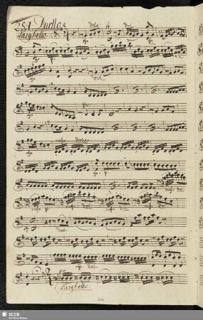 254. Duetto: Ah se mi scacci o cara / Guglielmi, P. A.