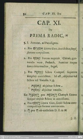 Cap. XI. De Prima Radic. ' [Cap. XII. De Prima Rad.; Cap. XIII. De Sec. Rad.; Cap. XIV. De Tertia Rad.]