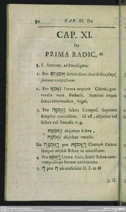 Cap. XI. De Prima Radic. ' [Cap. XII. De Prima Rad.; Cap. XIII. De Sec. Rad.; Cap. XIV. De Tertia Rad.]