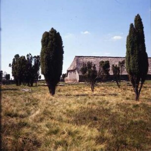 Lüneburger Heide. Alter Schafstall