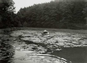Haßlau-Naußlitz, Ortsteil Kobelsdorf, Stauweiher mit Schwänen und Schwanenhäuschen bei der Margarethenmühle