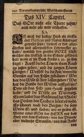 290-296, Das XIV. Capitel.