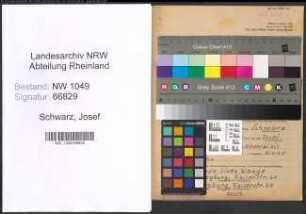 Entnazifizierung Josef Schwarz , geb. 13.03.1903 (Maler)
