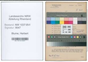 Entnazifizierung Herbert Blume , geb. 13.06.1910 (Prokurist)